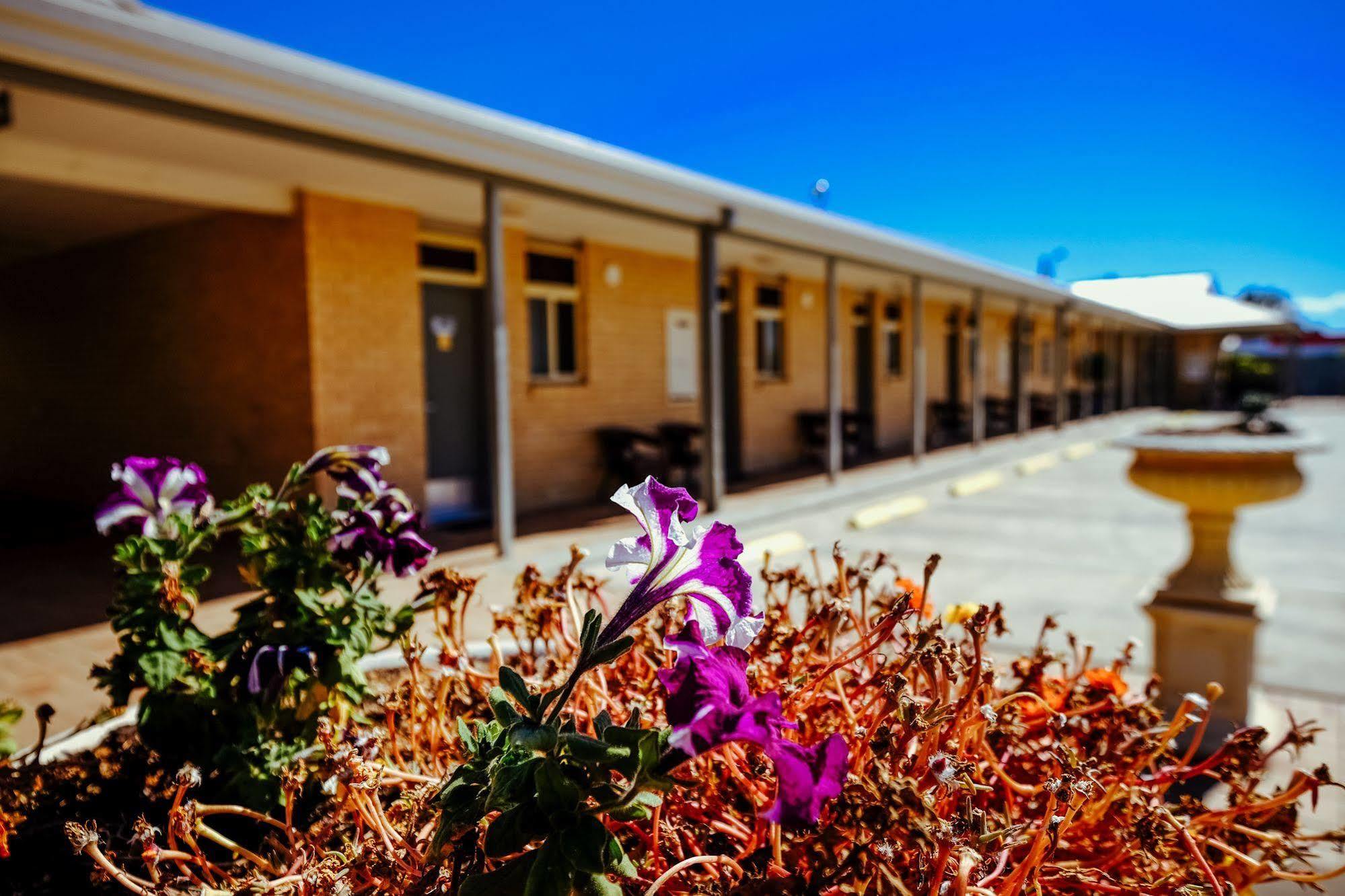 Club Motor Inn Narrabri Eksteriør billede